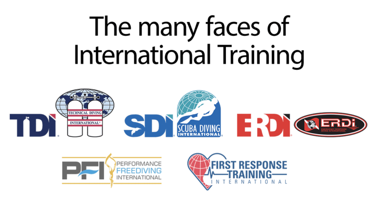 International Training